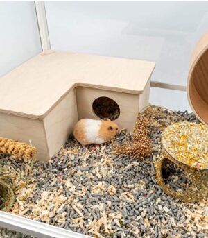 Hamster Multi-Room