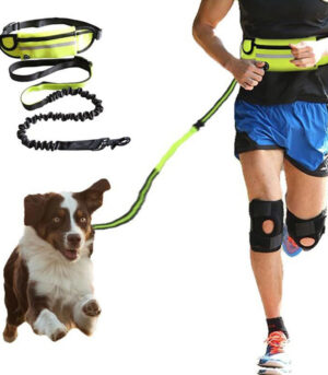 Hands Free Dog Leash Pet Walking And Training Belt With Shock Absorbing Bungee Leash For Up To 180lbs Large Dogs Phone Pocket And Water Bottle Holder