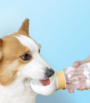 New Go Out Water Cup Portable Walking Dog Drinking Water Pet Supplies
